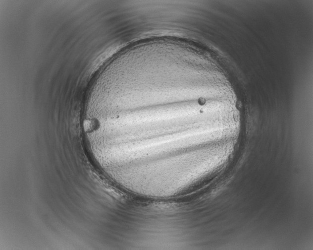 X0000076420977200611031809