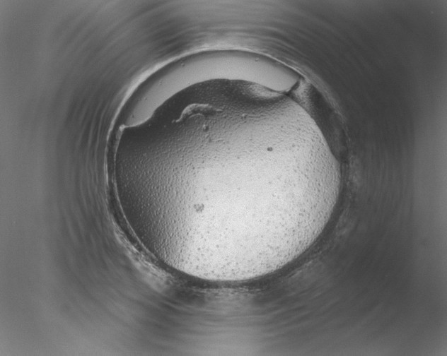 X0000076420980200611031809