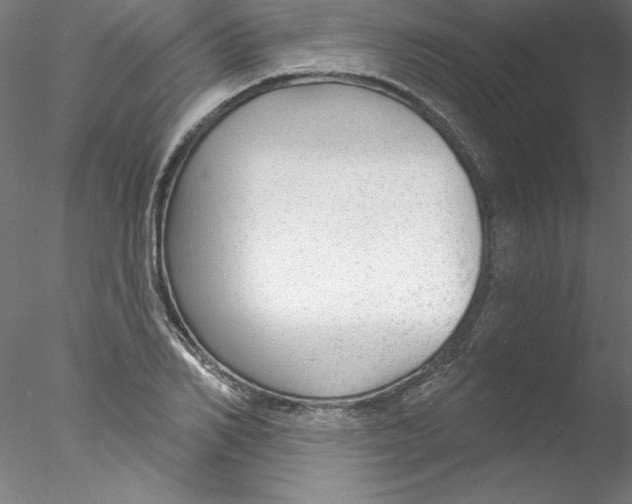 X0000076420982200611031809