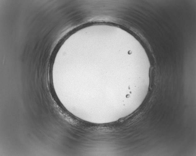 X0000076420984200611031809