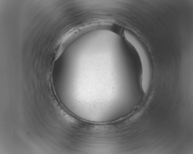 X0000076420985200611031809