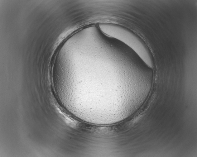 X0000076420986200611031809