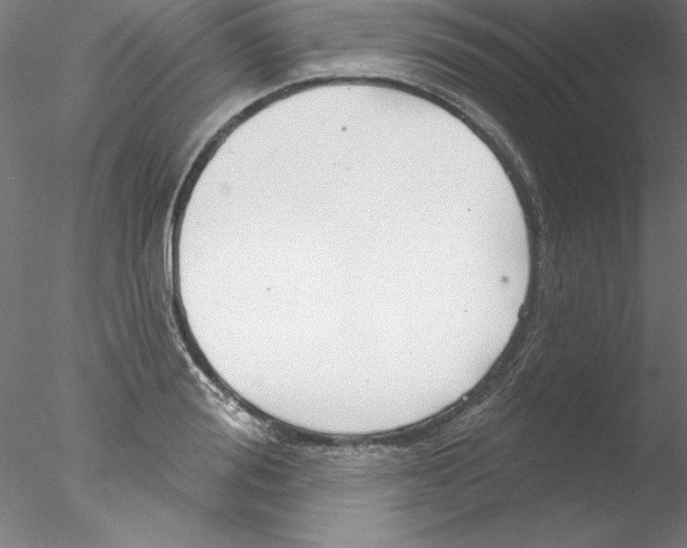 X0000076420988200611031809