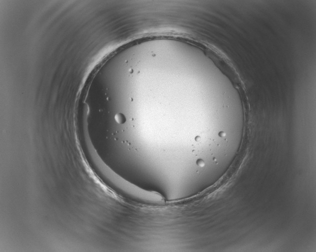 X0000076420989200611031809