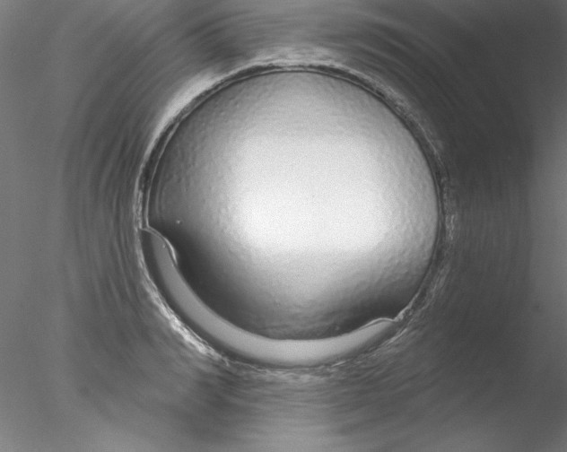 X0000076420990200611031809