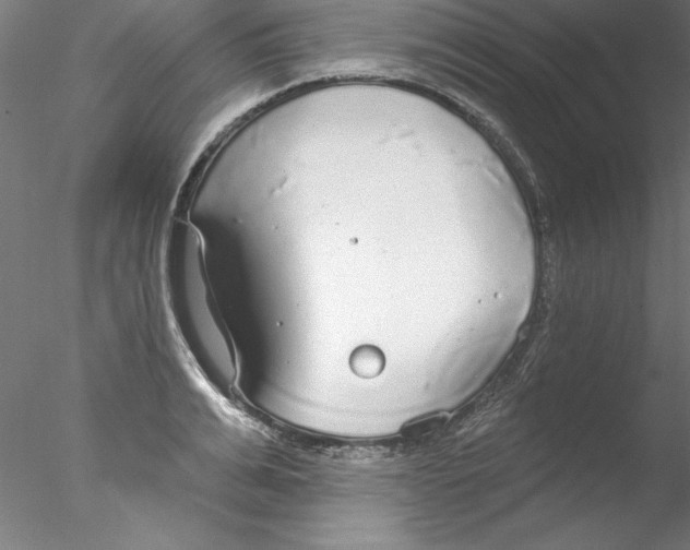 X0000076420991200611031809