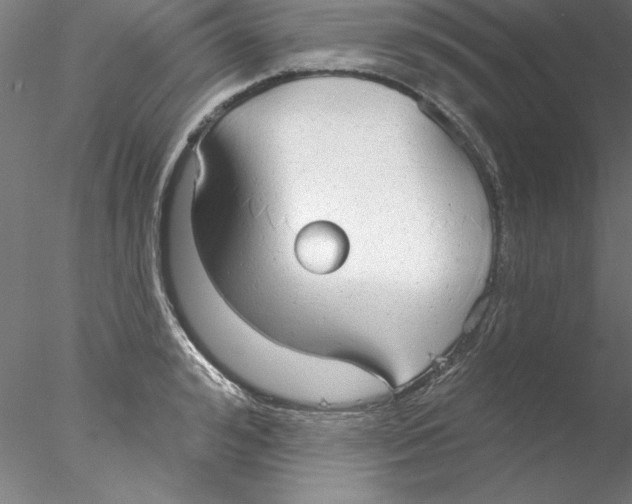 X0000076420992200611031809