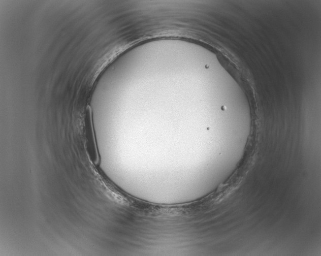 X0000076420993200611031809