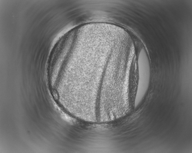 X0000076420995200611031809