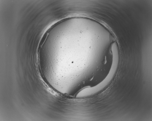 X0000076420996200611031809