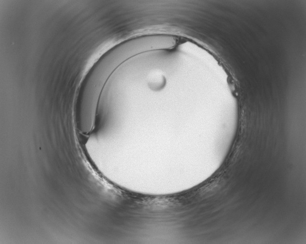 X0000076420998200611031809