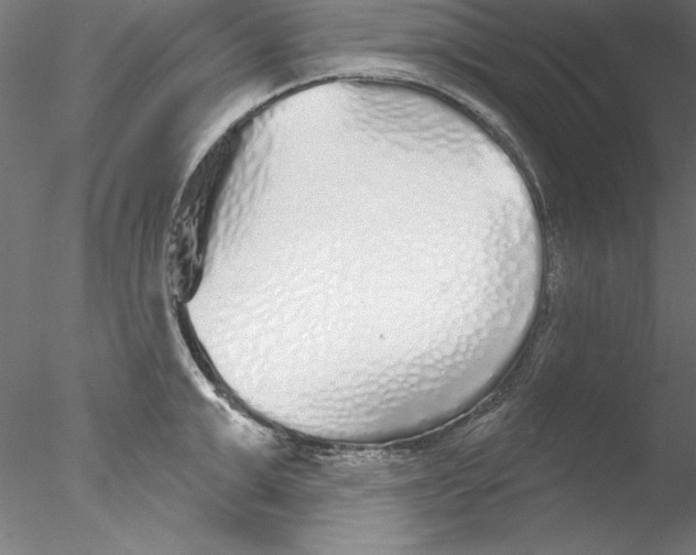 X0000076420999200611031809