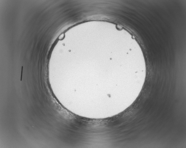 X0000076421000200611031809