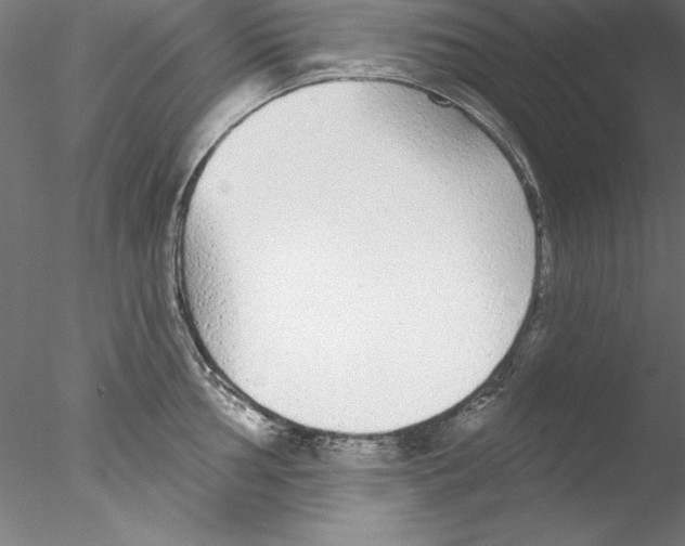 X0000076421002200611031808