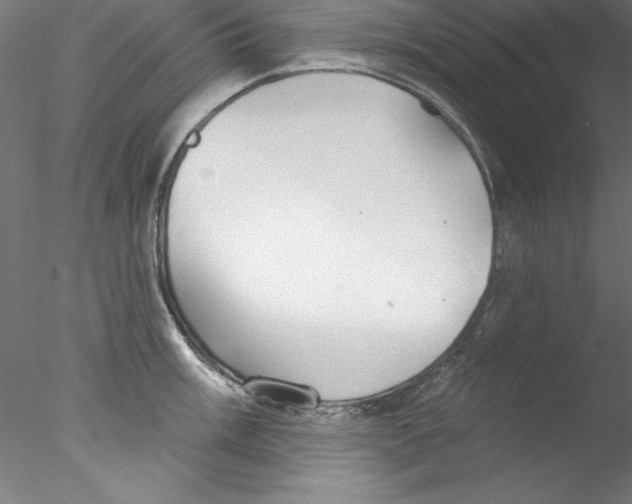 X0000076421003200611031808