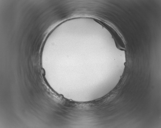 X0000076421004200611031808