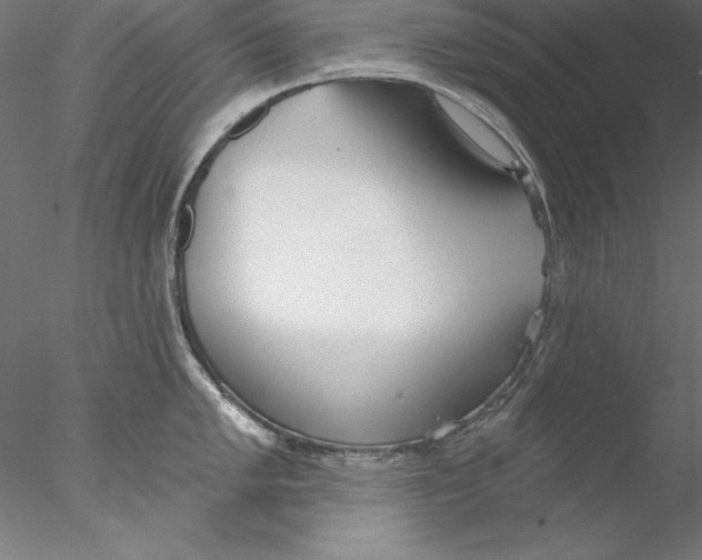 X0000076421005200611031808