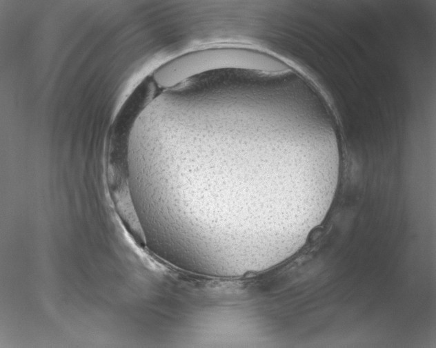 X0000076421006200611031808