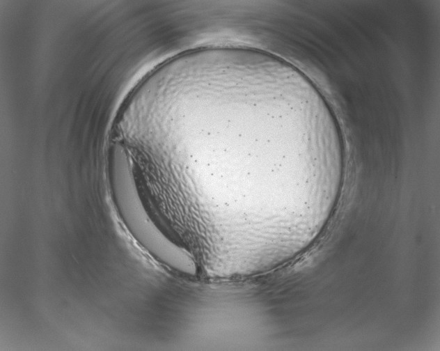 X0000076421008200611031808