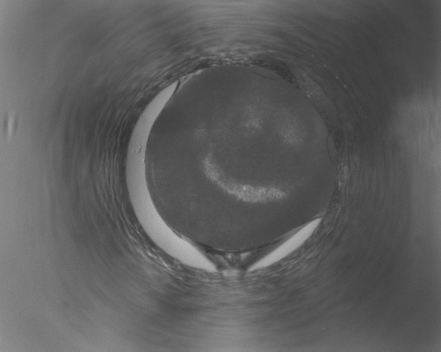 X0000076421010200611031808