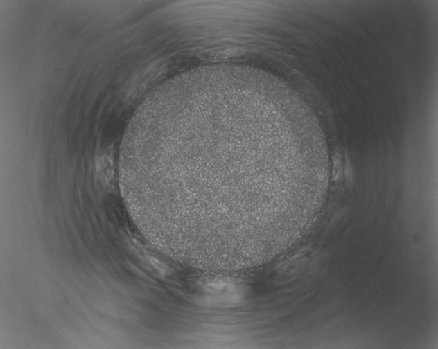 X0000076421011200611031808