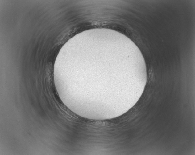 X0000076421012200611031808