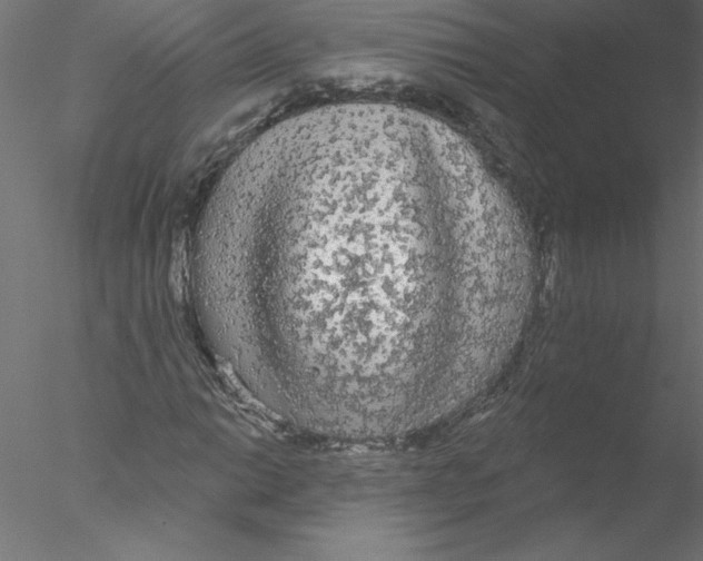 X0000076421014200611031808