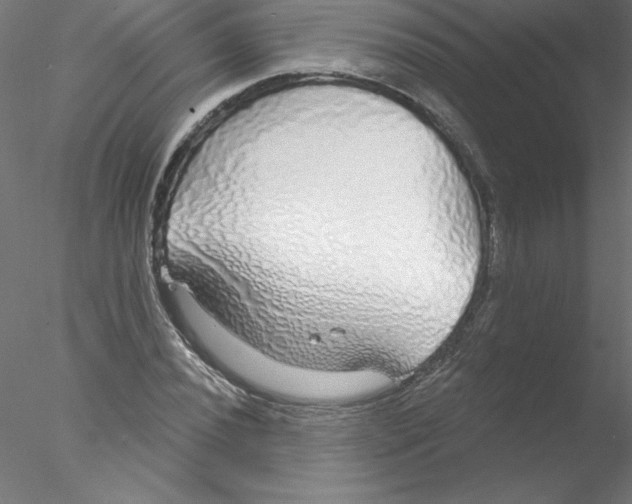 X0000076421020200611031808