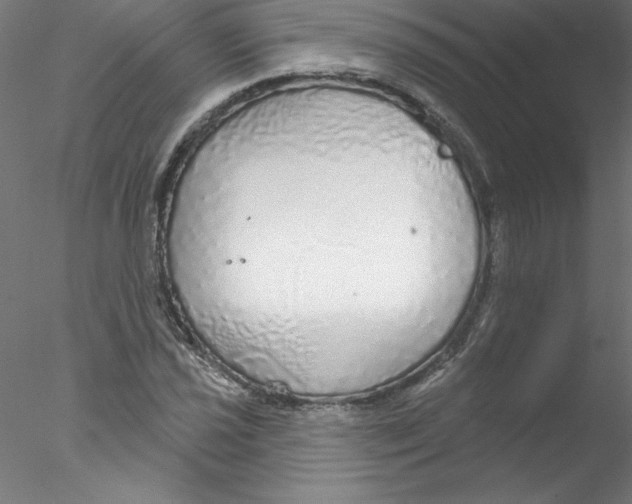 X0000076421021200611031808