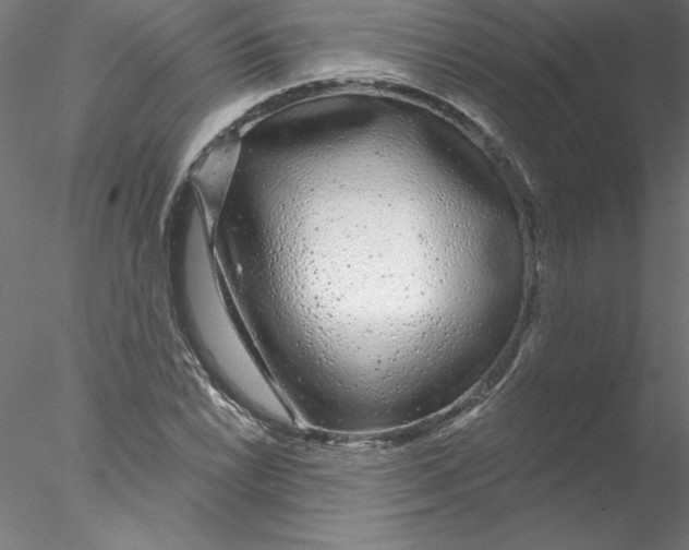 X0000076421022200611031808