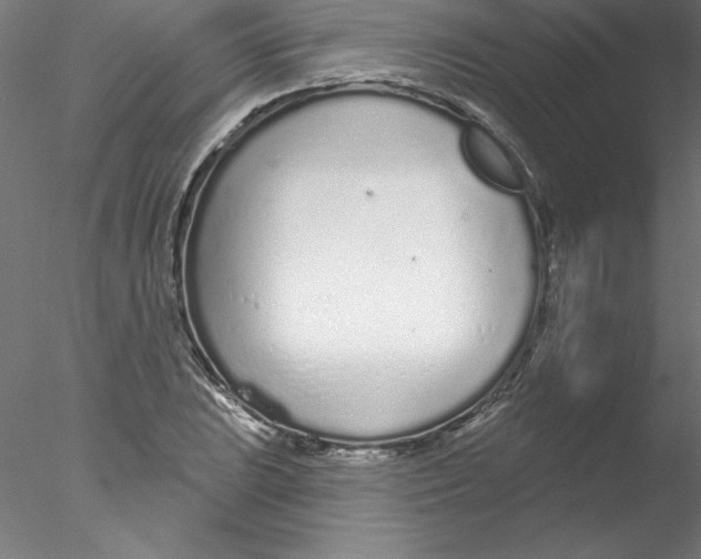 X0000076421023200611031808