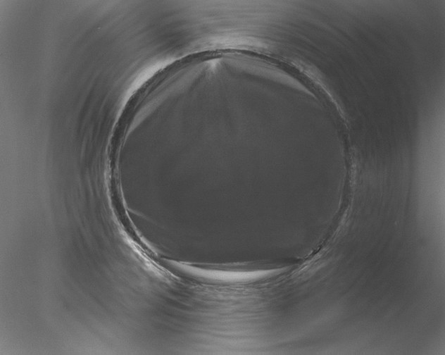 X0000076421024200611031808