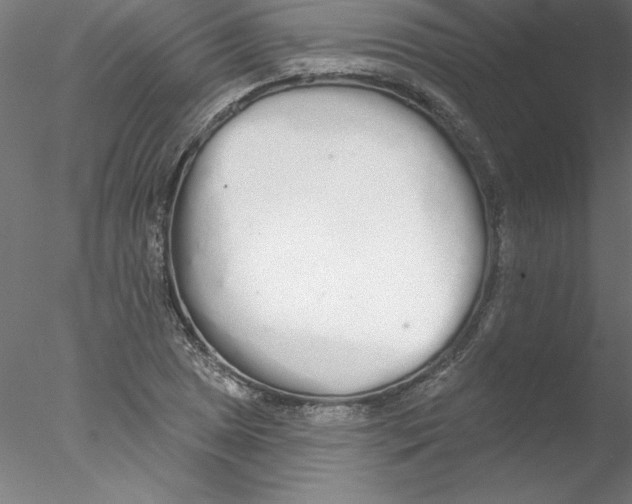 X0000076421025200611031808