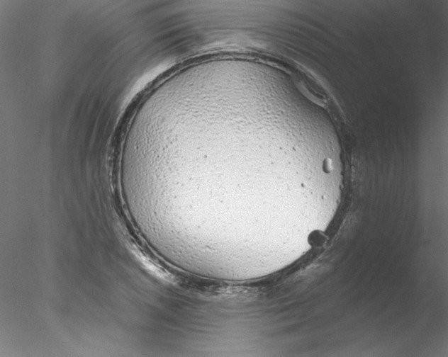 X0000076421026200611031808