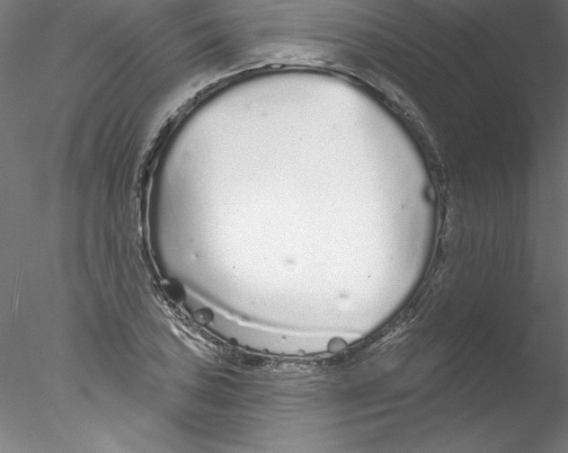 X0000076421027200611031808