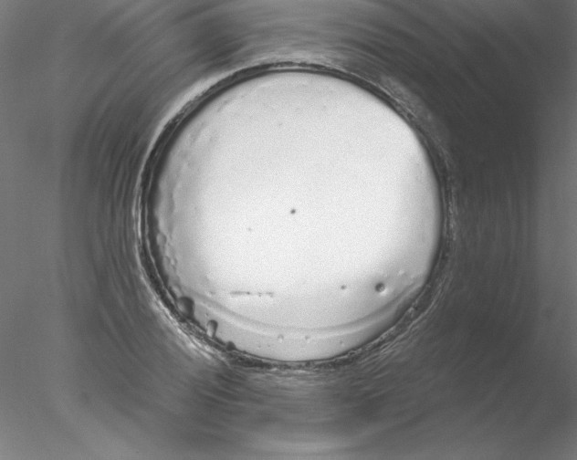 X0000076421028200611031808