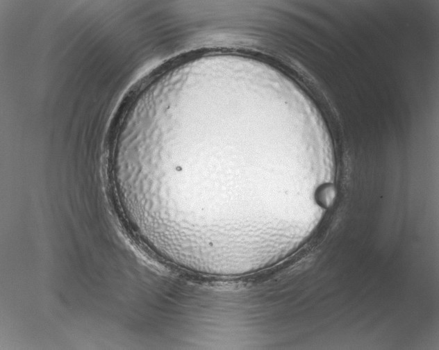 X0000076421029200611031808