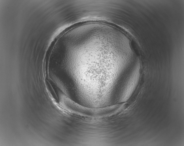 X0000076421030200611031808