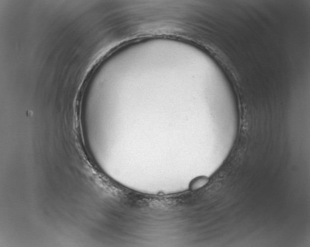 X0000076421031200611031808