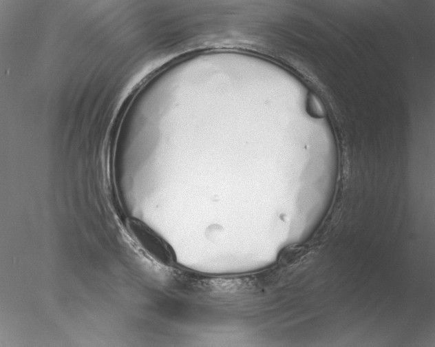 X0000076421032200611031808