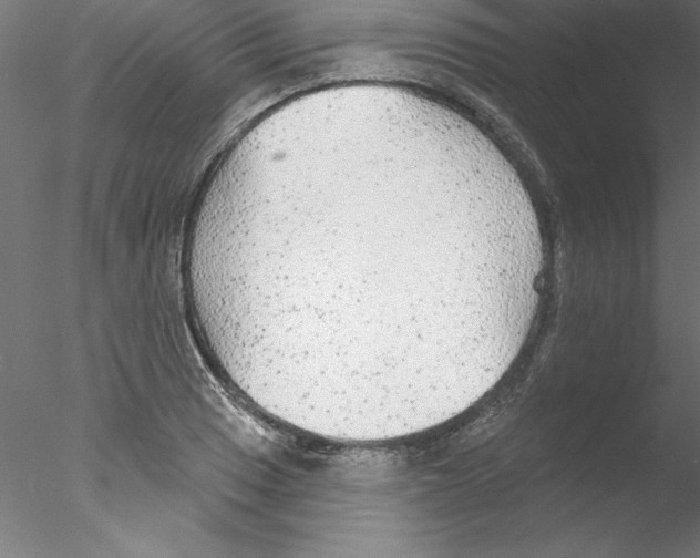 X0000076421033200611031808