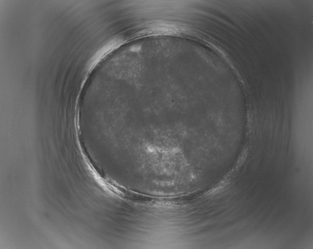 X0000076421034200611031808