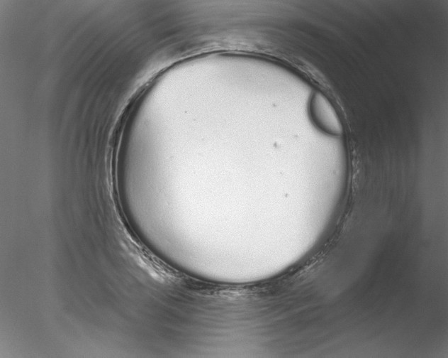 X0000076421035200611031808