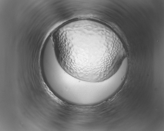 X0000076421036200611031808