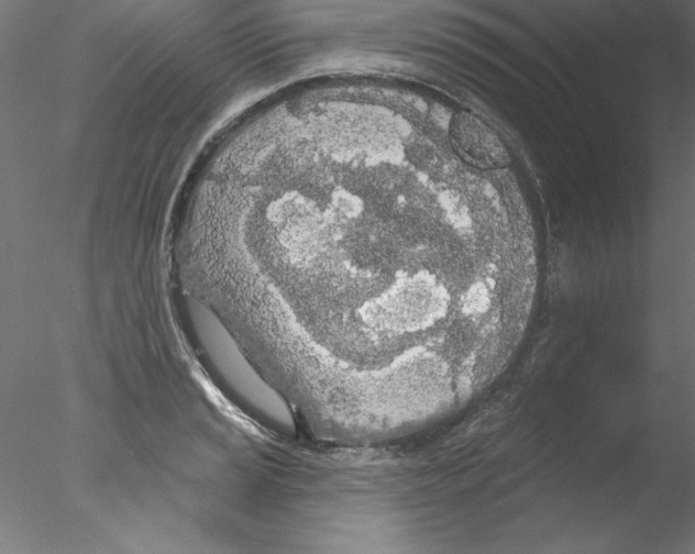 X0000076421037200611031808