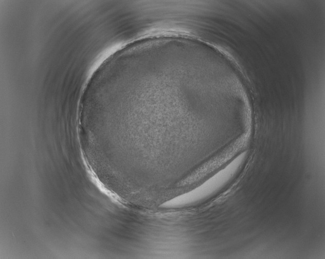 X0000076421038200611031808