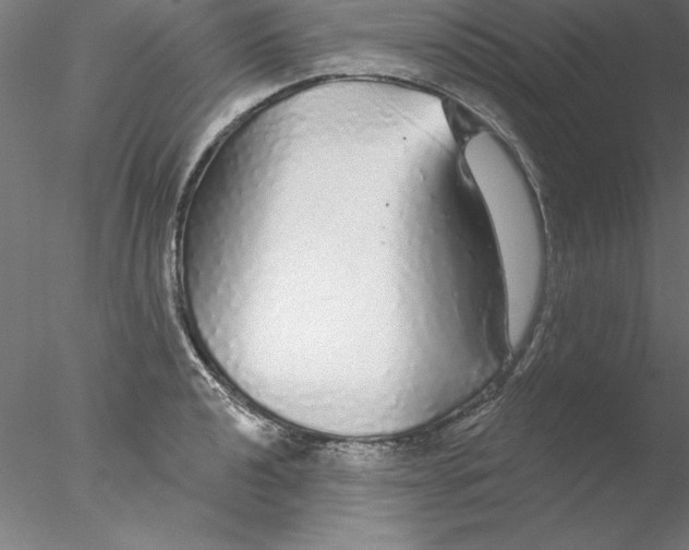 X0000076421040200611031808