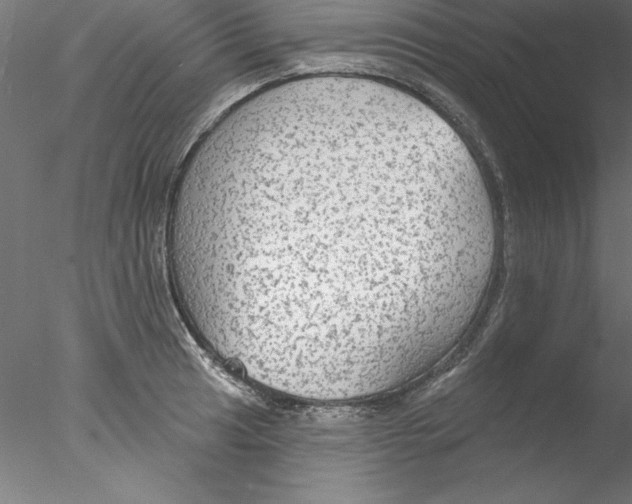 X0000076421041200611031808