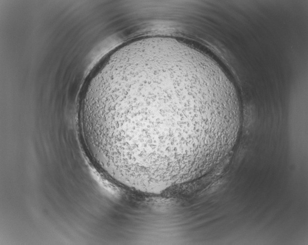 X0000076421042200611031808