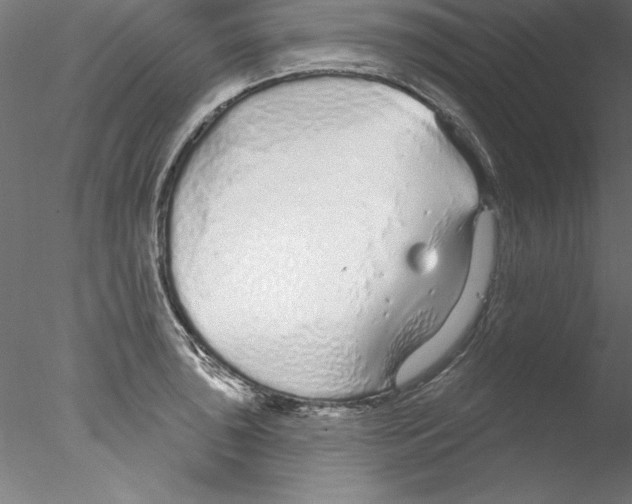 X0000076421043200611031808